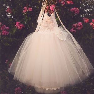 Dollcake Pink Ballerina Tutu Dress (Used)